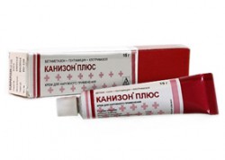 Канизон плюс